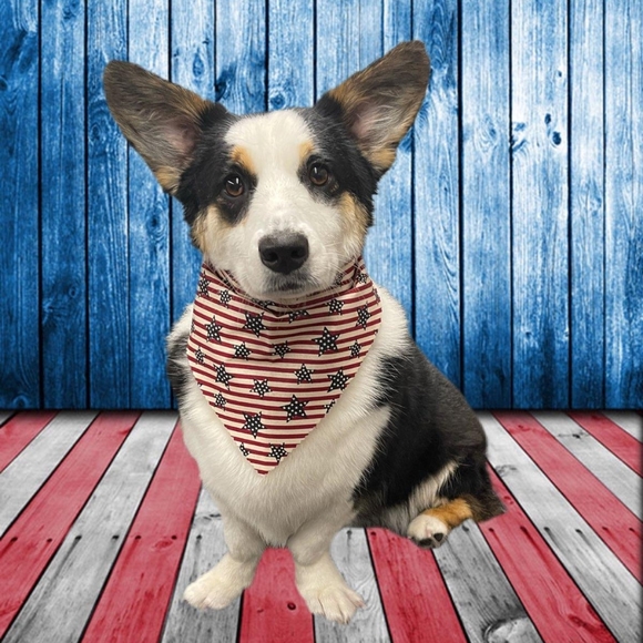 KarenβAmbassadorβ - Picture 11 of 15